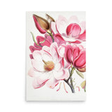 Magnolia Campbellii by Artokoloro – Botanical Art Poster (Unframed)