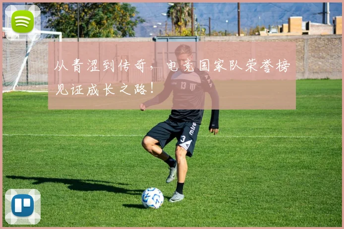 从青涩到传奇,电竞国家队荣誉榜见证成长之路!