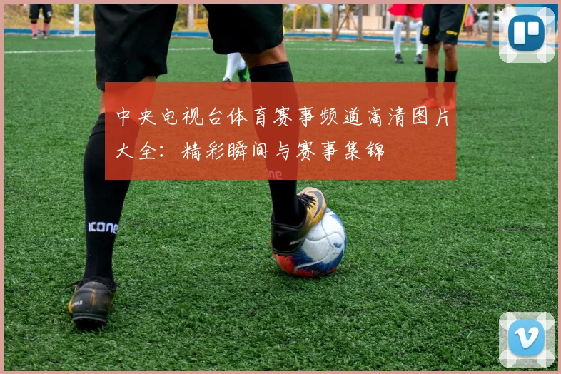 中央电视台体育赛事频道高清图片大全：精彩瞬间与赛事集锦